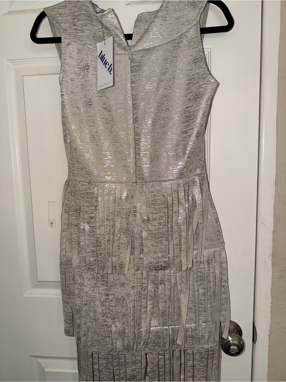 Metallic Silver Fringe Mini Dress with Collar